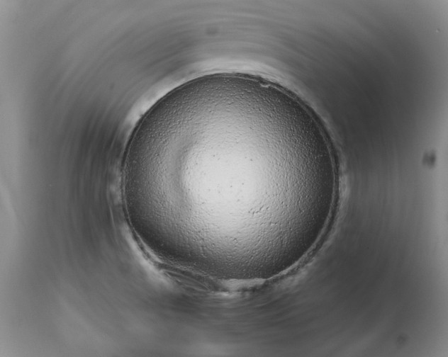 X0000113561521200910021542