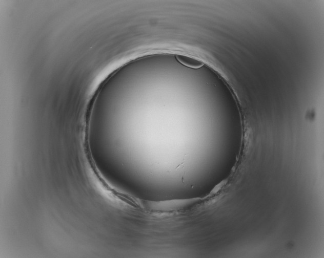 X0000113561523200910021542