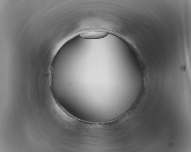 X0000113561524200910021542