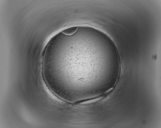 X0000113561526200910021542