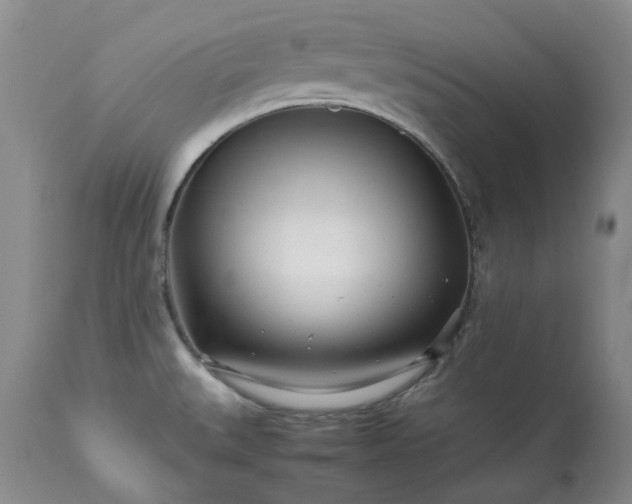 X0000113561527200910021542