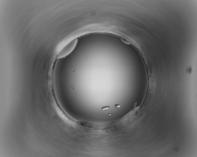 X0000113561528200910021542