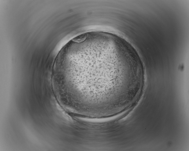 X0000113561529200910021542