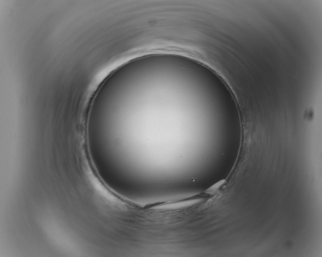 X0000113561531200910021542