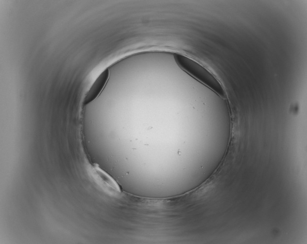 X0000113561532200910021542