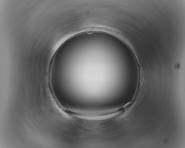 X0000113561533200910021542