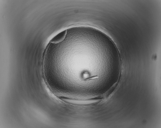 X0000113561534200910021542