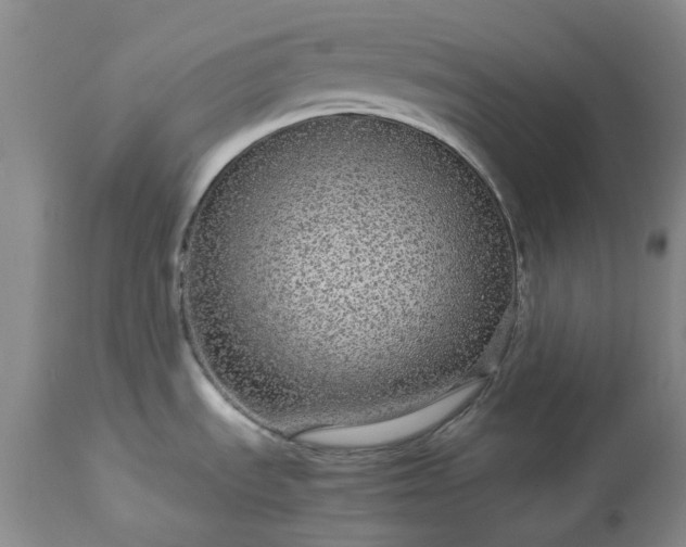 X0000113561535200910021542