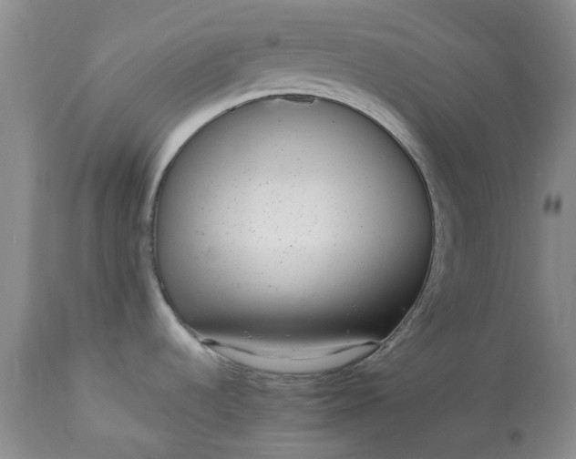 X0000113561536200910021542