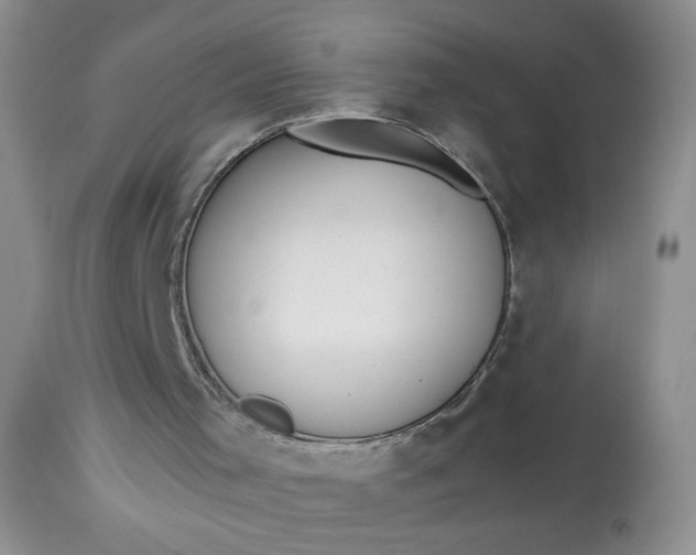 X0000113560001200910091426
