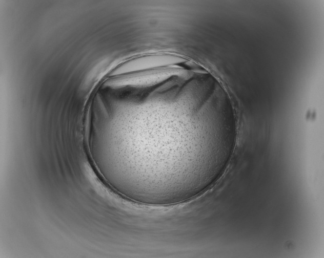 X0000113560002200910091426