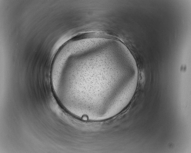 X0000113560004200910091426