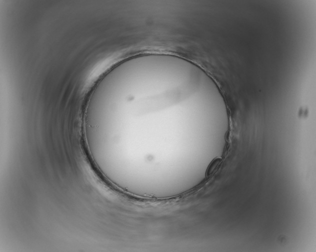 X0000113560005200910091426