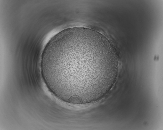 X0000113560006200910091426