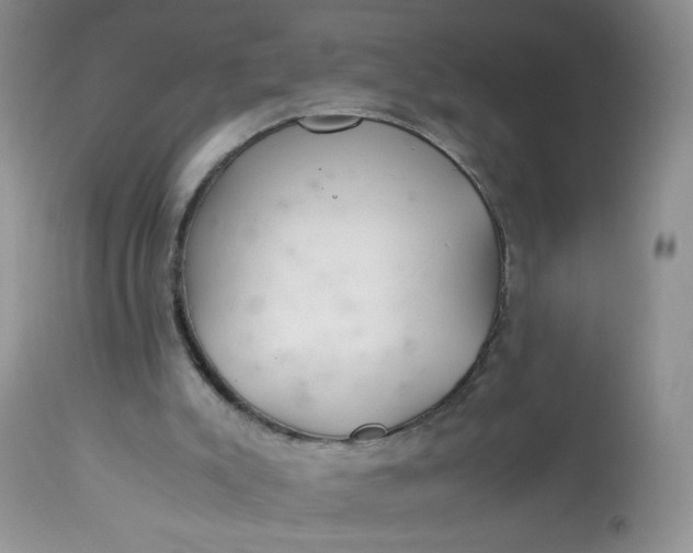 X0000113560007200910091426