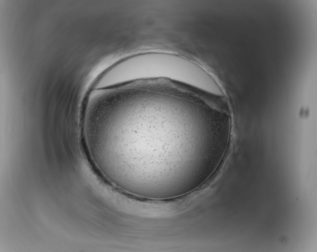 X0000113560008200910091426
