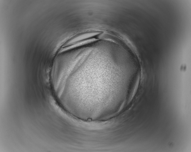 X0000113560010200910091426