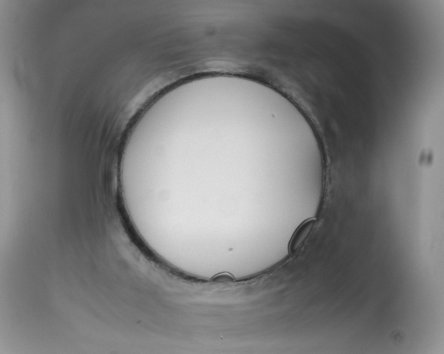 X0000113560011200910091426