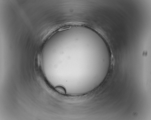 X0000113560013200910091426