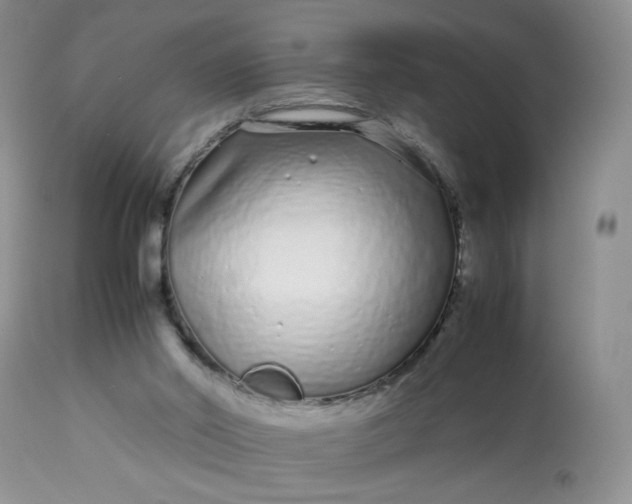 X0000113560014200910091426