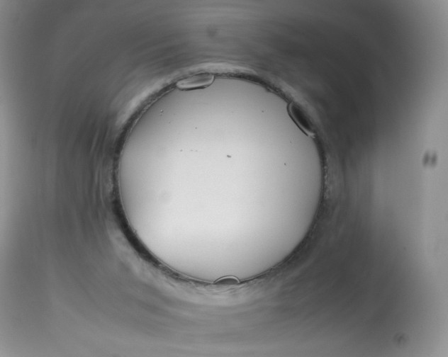 X0000113560015200910091426