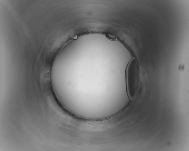 X0000113560017200910091426