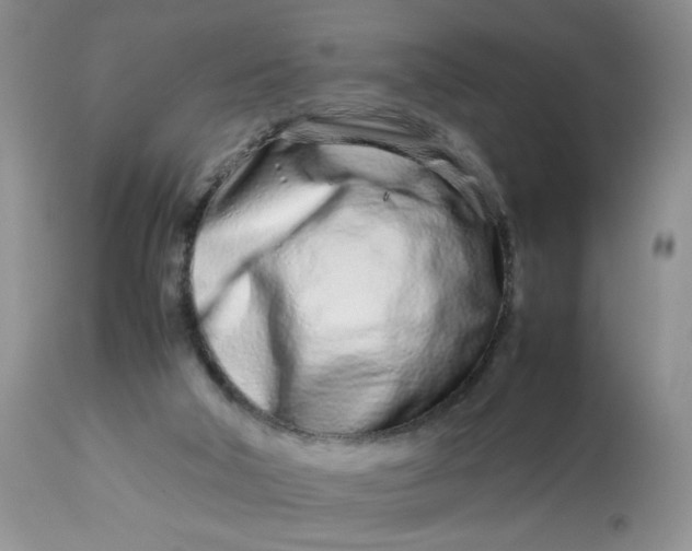 X0000113560018200910091426