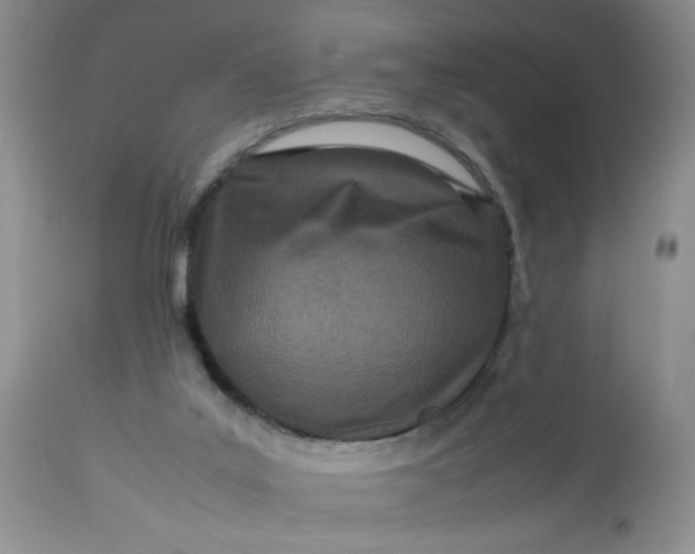 X0000113560019200910091426