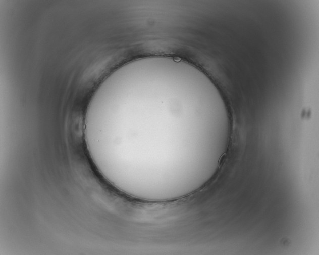 X0000113560021200910091426