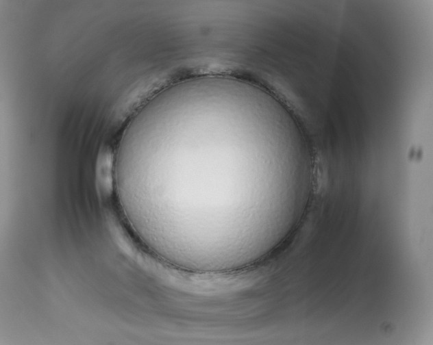X0000113560022200910091426