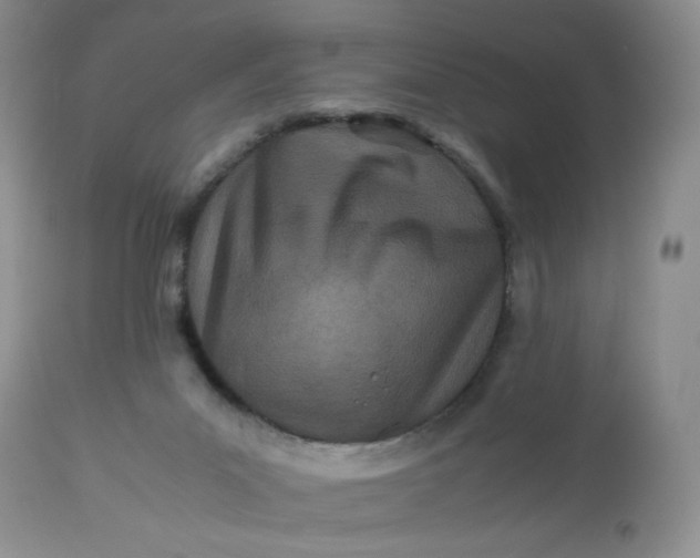 X0000113560023200910091425