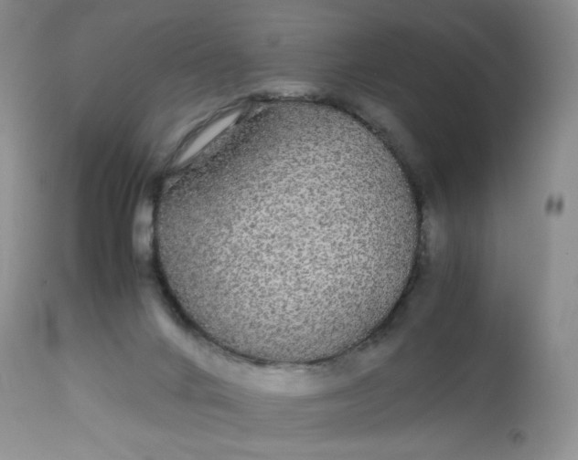 X0000113560024200910091425