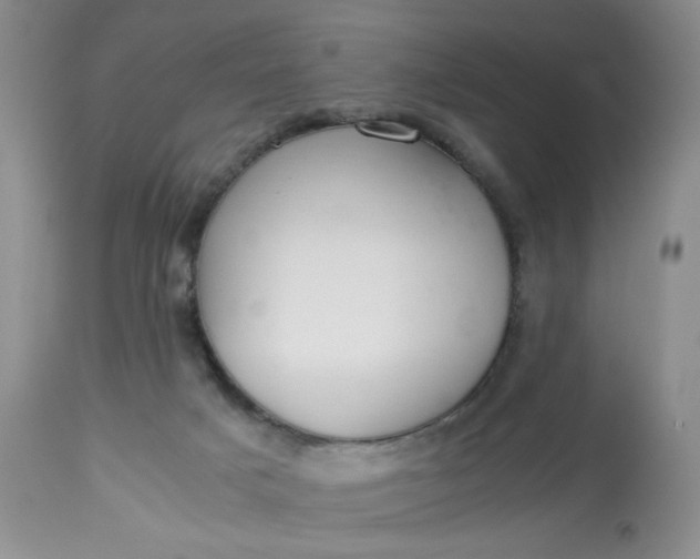 X0000113560025200910091425