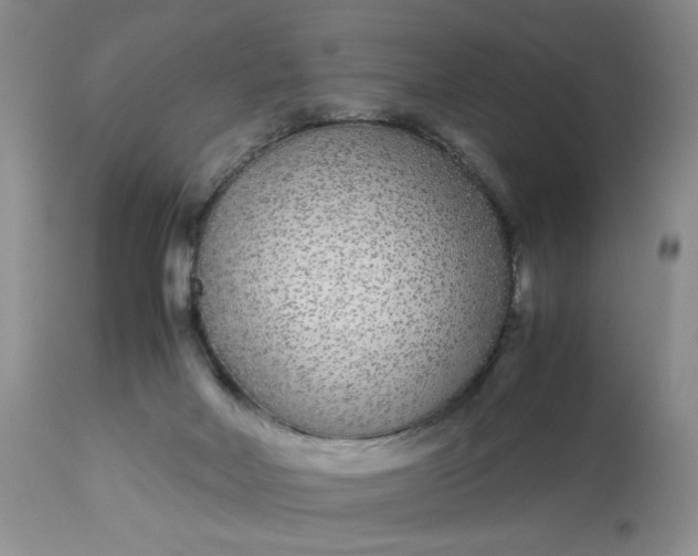 X0000113560026200910091425