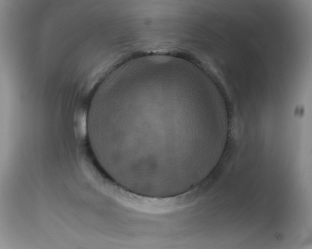 X0000113560027200910091425