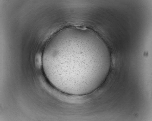 X0000113560028200910091425