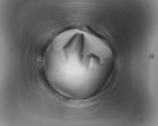 X0000113560029200910091425