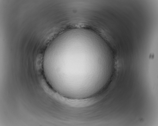 X0000113560030200910091425