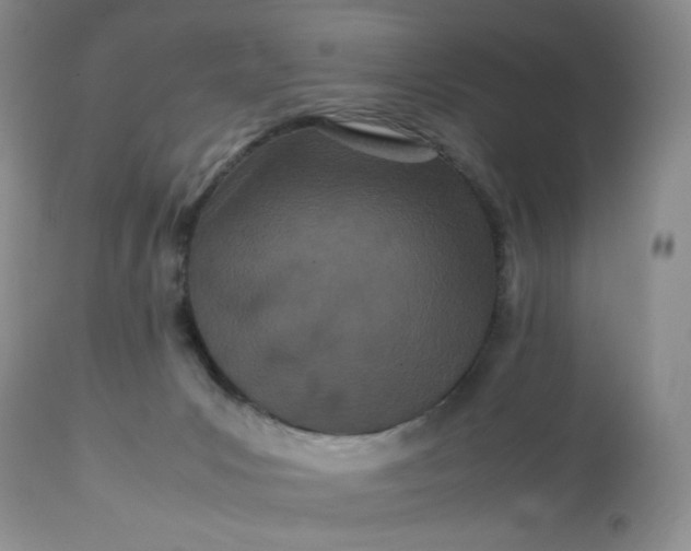 X0000113560031200910091425
