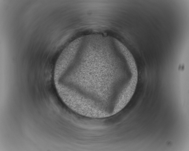 X0000113560032200910091425
