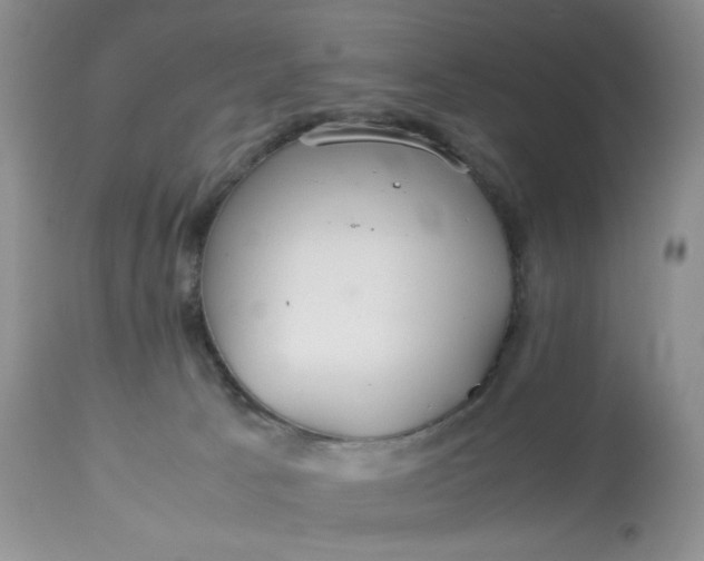 X0000113560033200910091425