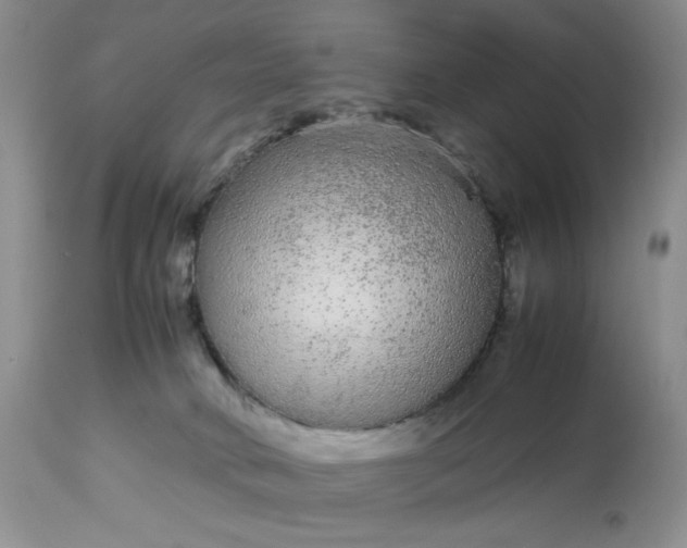 X0000113560034200910091425
