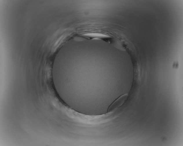 X0000113560035200910091425