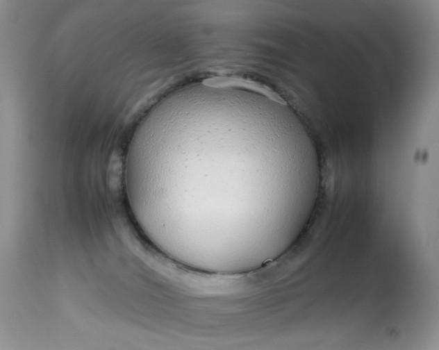 X0000113560036200910091425