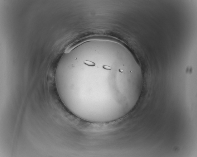 X0000113560037200910091425