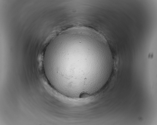 X0000113560038200910091425