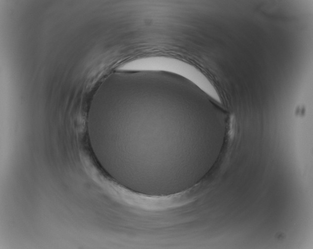 X0000113560039200910091425