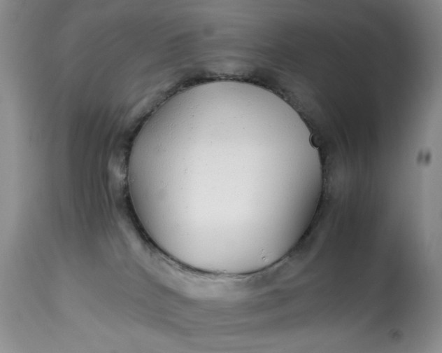 X0000113560040200910091425