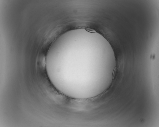 X0000113560041200910091425