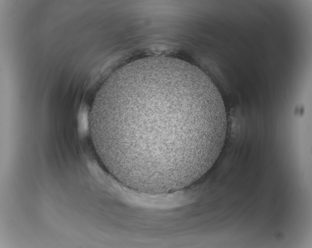 X0000113560042200910091425